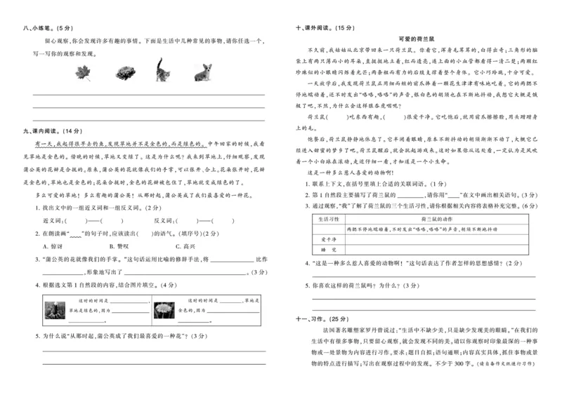 《王朝霞综合测评卷》语文3年级上册（RJ）_三年级上下册资料_小学三年级学习资料-25年更新版_3-01、小学三年级语文上册_3-1-2、练习题、作业、试题、试卷_电子册类