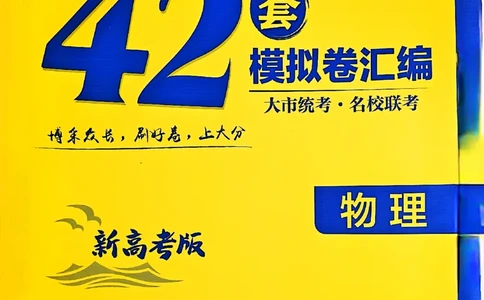 2025高考必刷卷42套物理新高考版_2025高中教辅（后续还会更新新习题试卷）_《2025高考必刷卷》_物理
