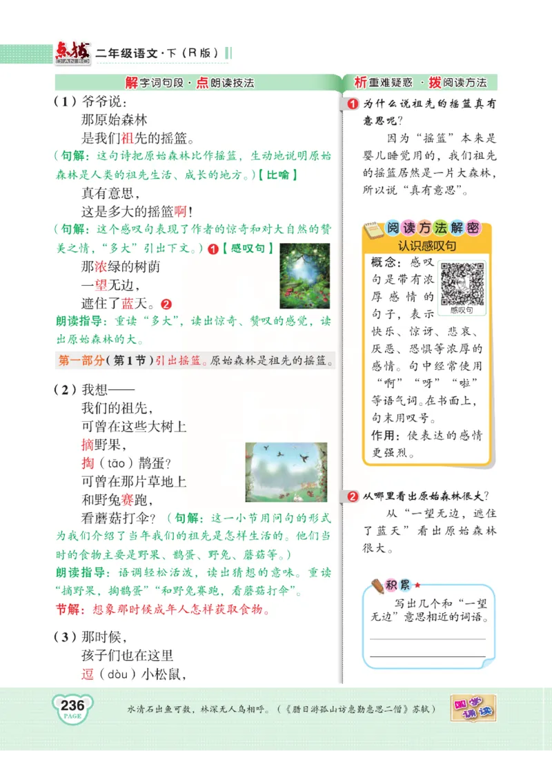 《点拨》语文2年级下册（RJ）(2)_二年级上下册资料_小学二年级学习资料-25年更新版_2-02、小学二年级语文下册_2-2-2、练习题、作业、试题、试卷_电子册类