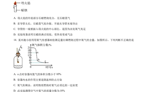 广州市真光中学2024-2025学年九年级上学期9月综合训练化学试题（原卷版）_广州九上月考+期中+期末+一模二模+中考真题_九上月考_初三化学月考卷与答案
