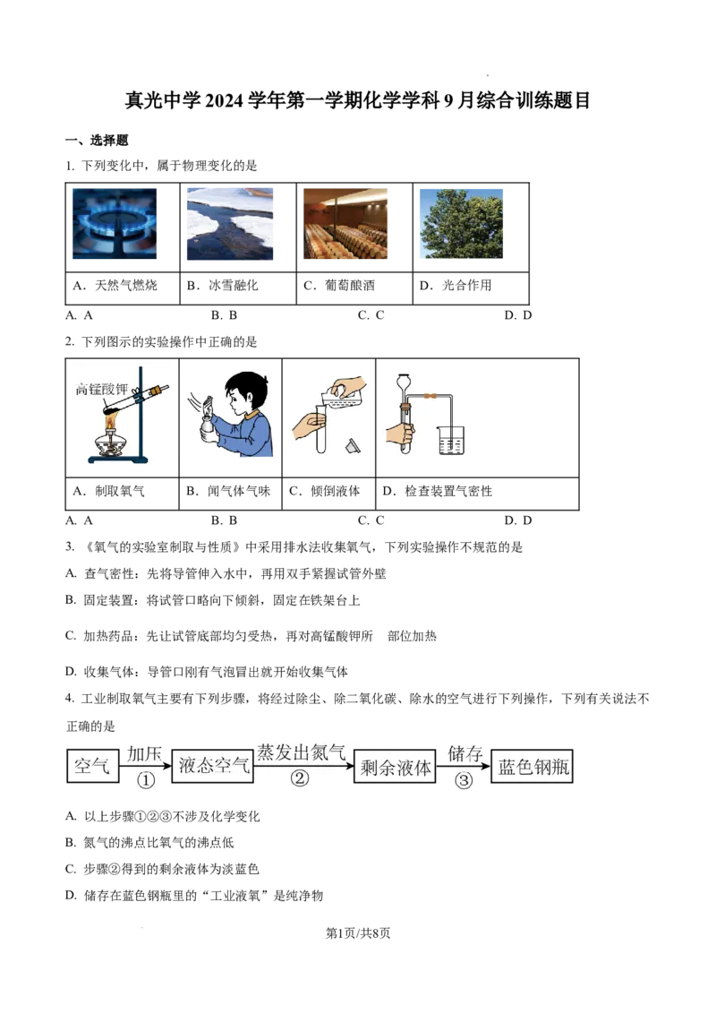 广州市真光中学2024-2025学年九年级上学期9月综合训练化学试题（原卷版）_广州九上月考+期中+期末+一模二模+中考真题_九上月考_初三化学月考卷与答案