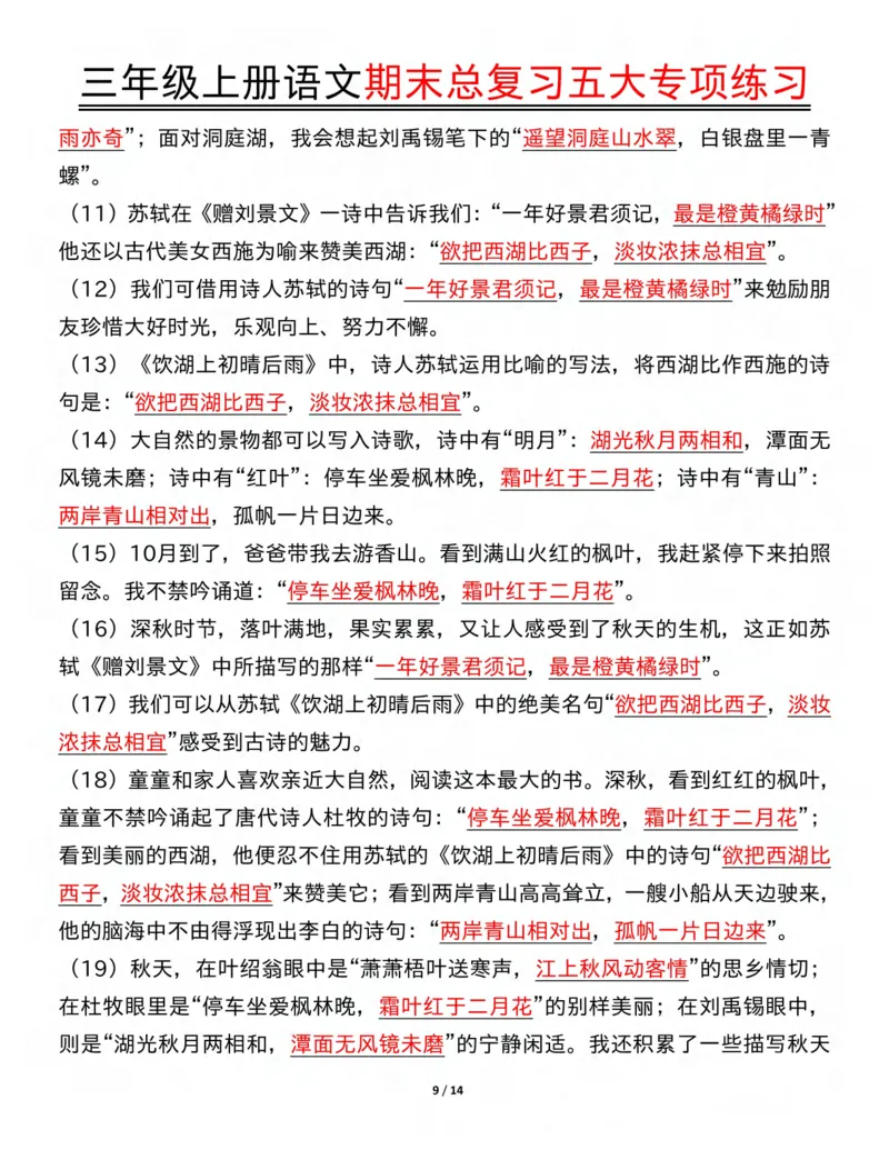 三年级上册语文期末总复习五大专项练习纯图版(19)(1)_三年级上下册资料_三年级下册小红书同款资料_三下语文