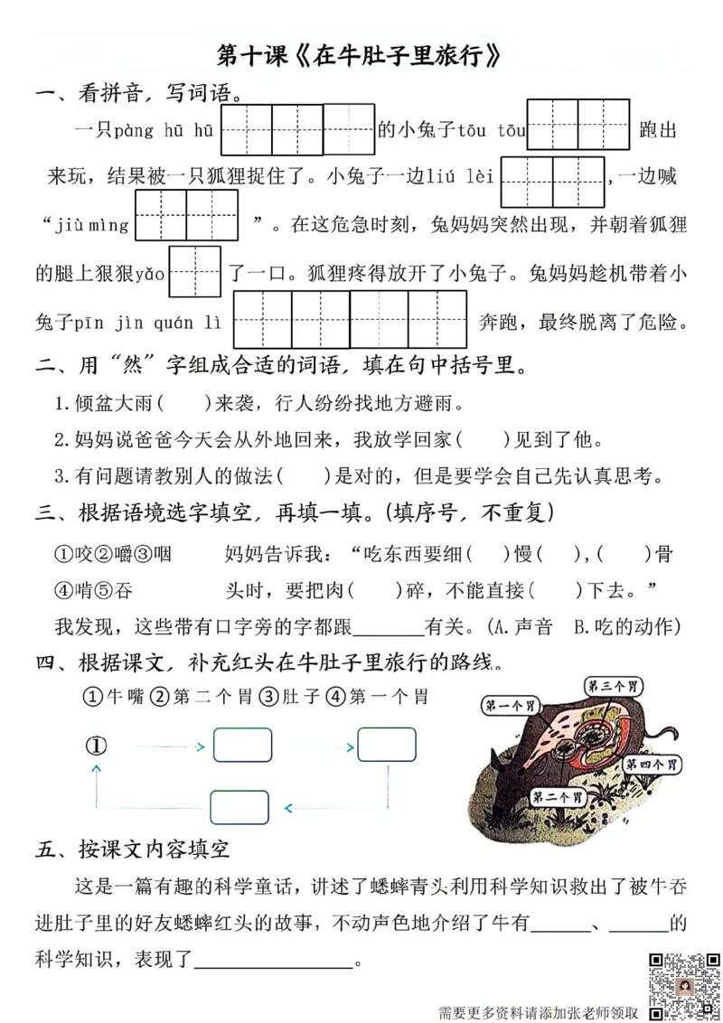 三年级上册语文全册完整版(1)(1)_三年级上下册资料_三年级上册小红书同款资料_语文