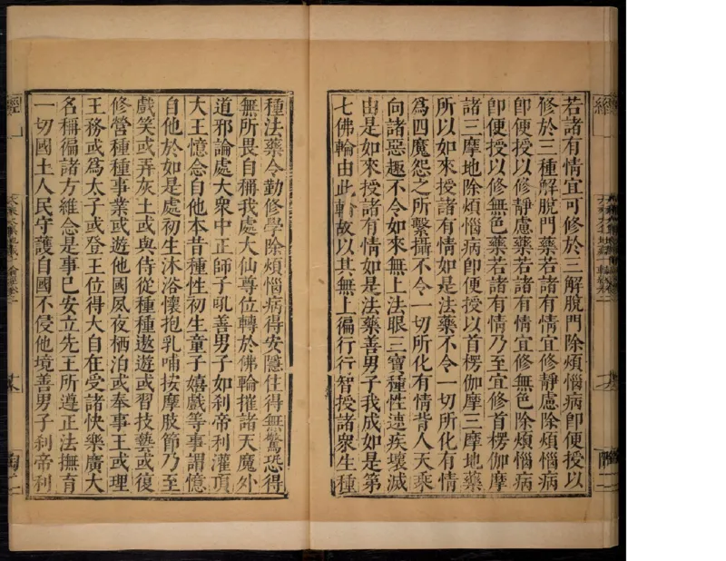 2_t涯_绝版古籍电子书合集（13大类）_佛教类_大乘大集地藏十輪經五卷玄奘譯