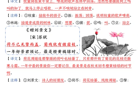 三年级语文上册期末高频考点知识汇总_三年级上下册资料_三年级下册小红书同款资料_三下语文
