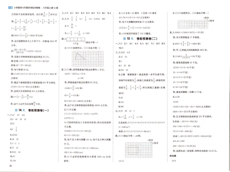 25秋《一本15天期末考点冲刺卷》苏教数学6上_25秋小学语数英习题试卷_数学_苏教版_25秋一本15天期末卷苏教版数学_25秋一本15天期末卷苏教版数学六上