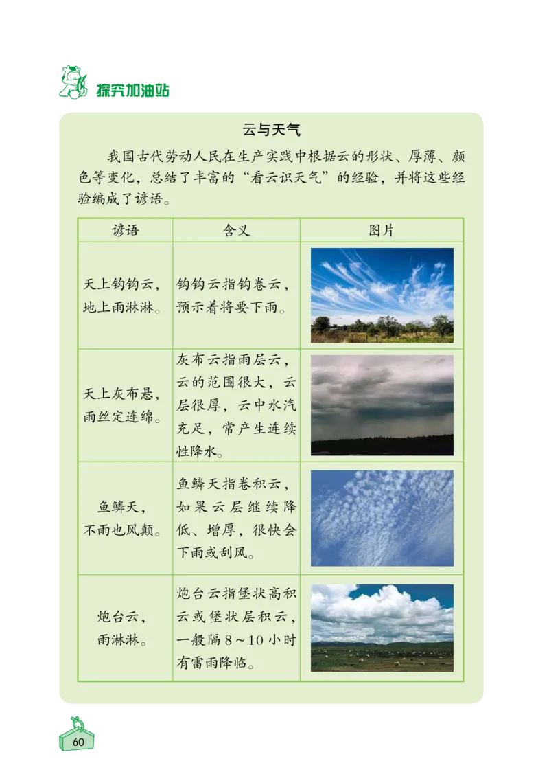 《知识与能力训练&middot;科学》22秋科学3年级上册（教科版）_三年级上下册资料_小学三年级学习资料-25年更新版_3-09、小学三年级科学上册_教科版_电子册类