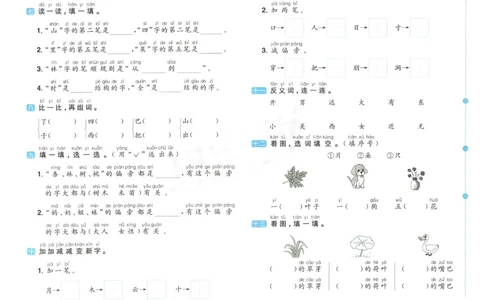 《阳光同学期末复习卷》（1上）_25秋小学语数英习题试卷_语文_语文阳光同学期末复习卷
