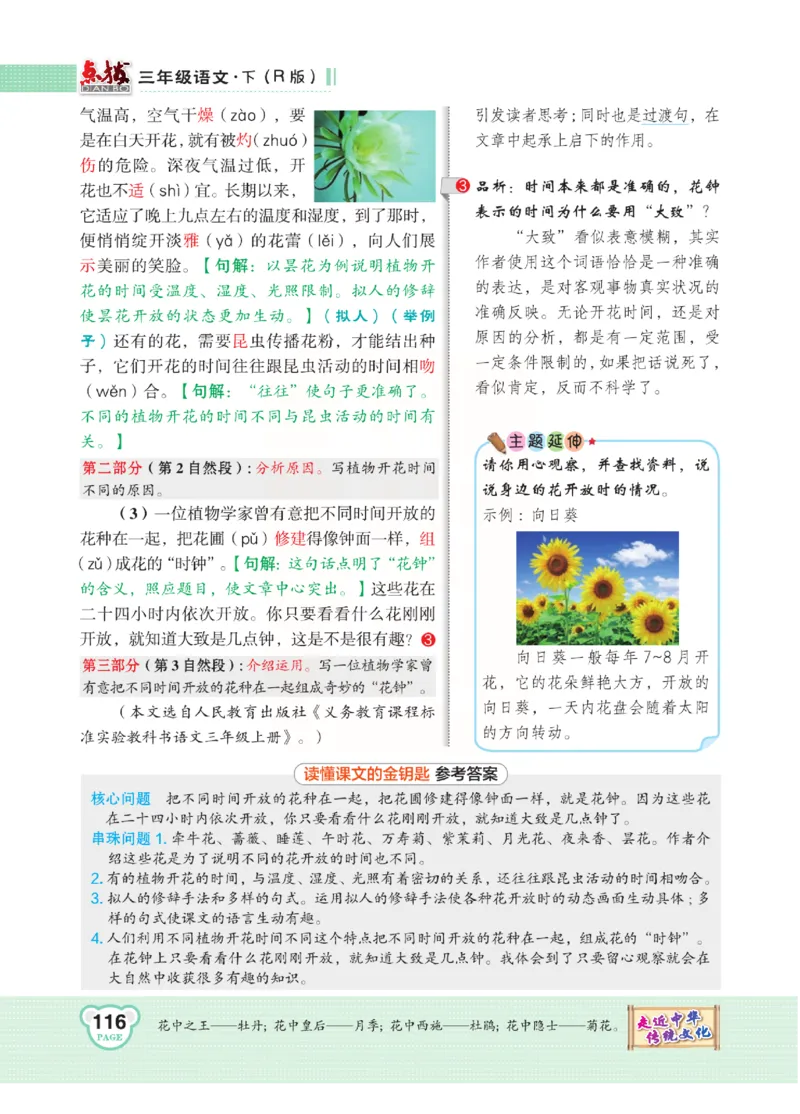 《点拨》语文3年级下册（RJ）(2)_三年级上下册资料_小学三年级学习资料-25年更新版_3-02、小学三年级语文下册_3-2-2、练习题、作业、试题、试卷_电子册类