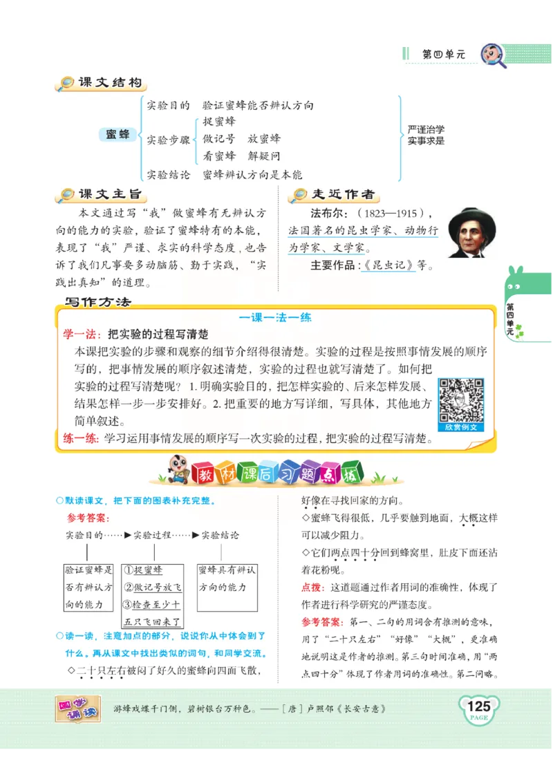 《点拨》语文3年级下册（RJ）(2)_三年级上下册资料_小学三年级学习资料-25年更新版_3-02、小学三年级语文下册_3-2-2、练习题、作业、试题、试卷_电子册类