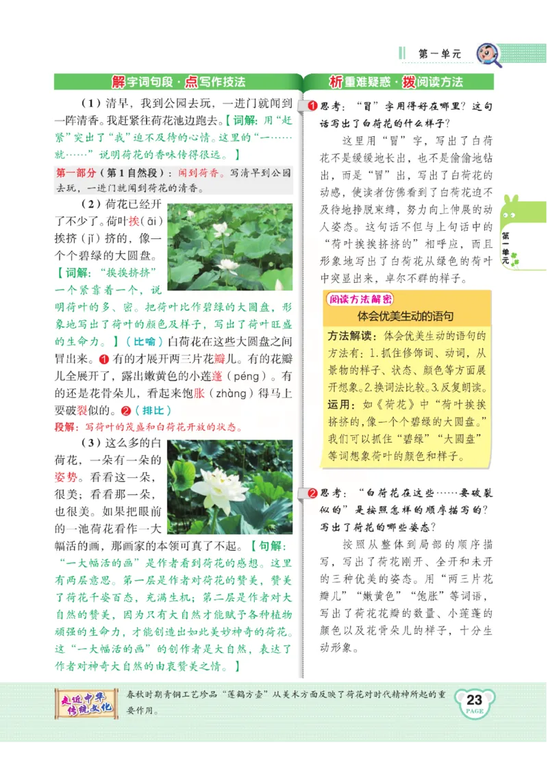 《点拨》语文3年级下册（RJ）(2)_三年级上下册资料_小学三年级学习资料-25年更新版_3-02、小学三年级语文下册_3-2-2、练习题、作业、试题、试卷_电子册类