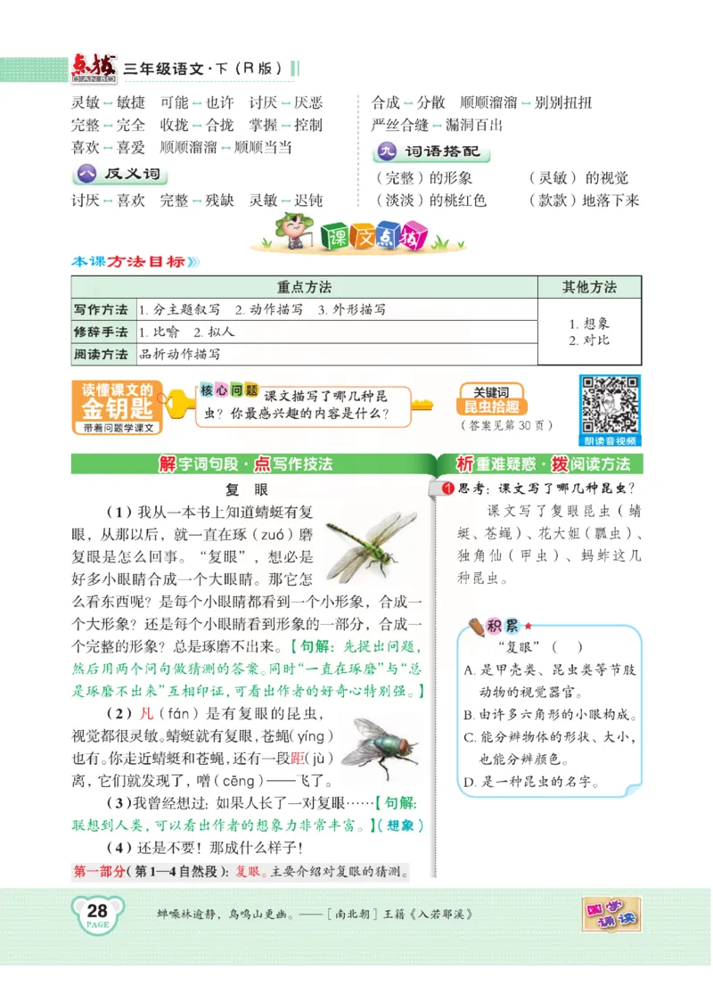 《点拨》语文3年级下册（RJ）(2)_三年级上下册资料_小学三年级学习资料-25年更新版_3-02、小学三年级语文下册_3-2-2、练习题、作业、试题、试卷_电子册类