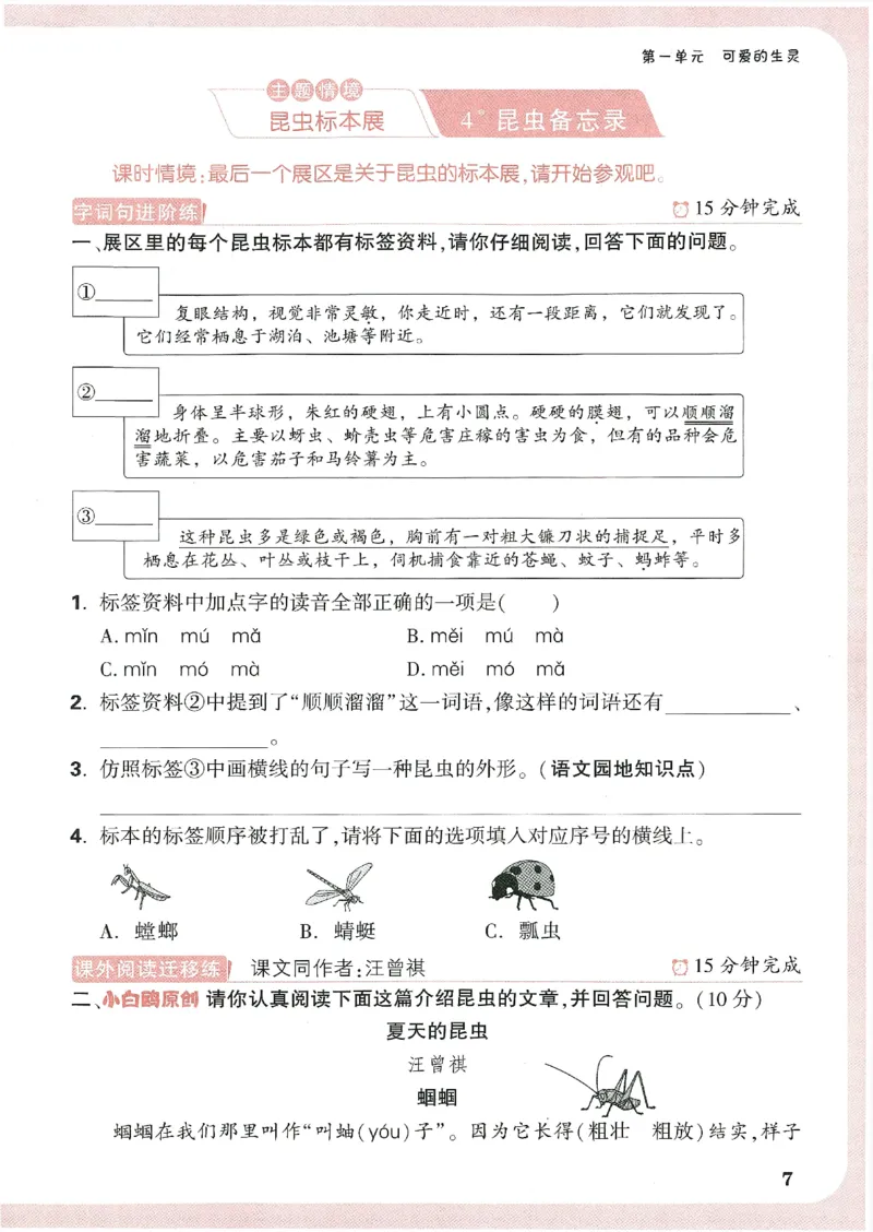 小白鸥情境题语文三年级_三年级上下册资料_53黄冈多个品牌系列资料_语文