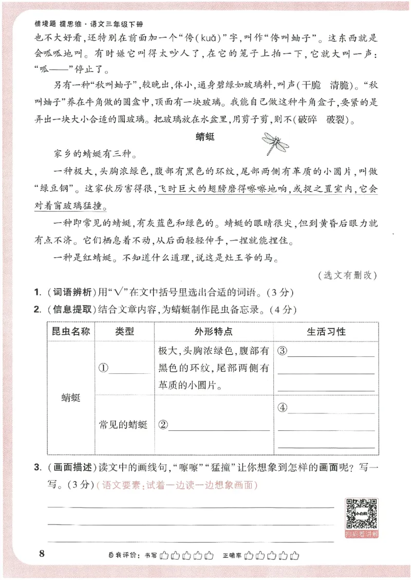 小白鸥情境题语文三年级_三年级上下册资料_53黄冈多个品牌系列资料_语文