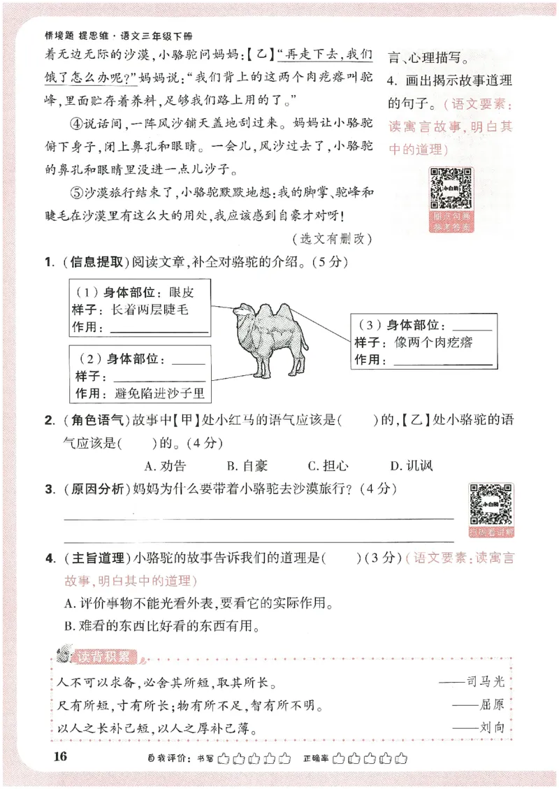 小白鸥情境题语文三年级_三年级上下册资料_53黄冈多个品牌系列资料_语文