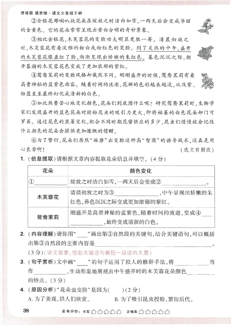 小白鸥情境题语文三年级_三年级上下册资料_53黄冈多个品牌系列资料_语文
