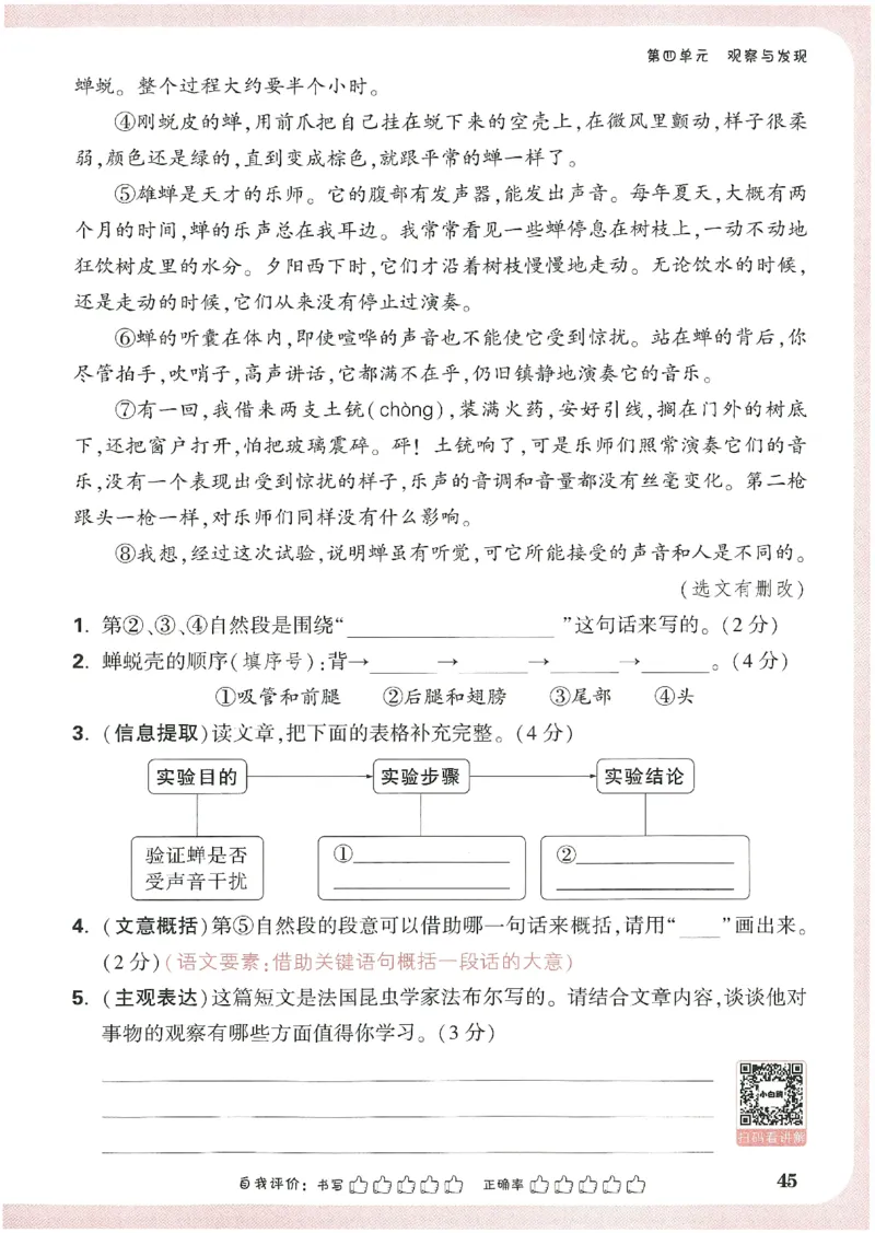 小白鸥情境题语文三年级_三年级上下册资料_53黄冈多个品牌系列资料_语文