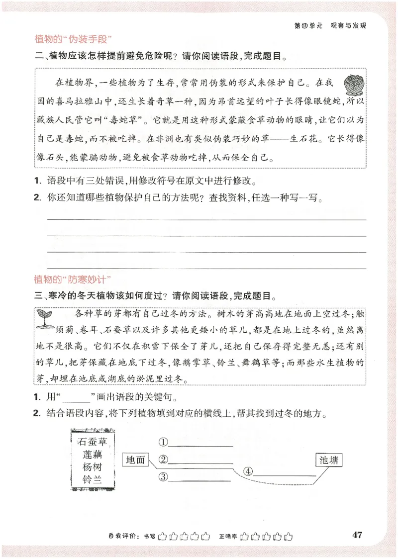 小白鸥情境题语文三年级_三年级上下册资料_53黄冈多个品牌系列资料_语文