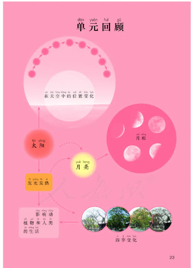 义务教育教科书&middot;科学二年级下册（人教鄂教版）_二年级上下册资料_小学二年级学习资料-25年更新版_2-10、小学二年级科学下册