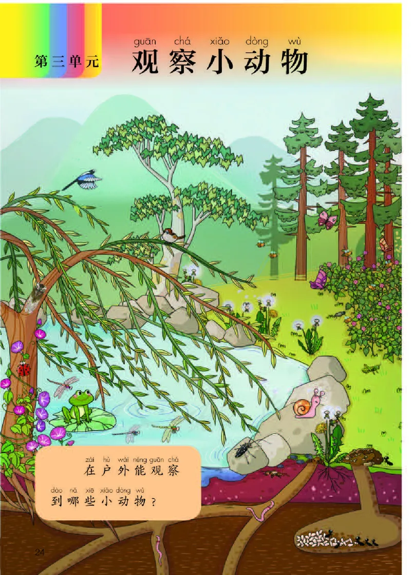 义务教育教科书&middot;科学二年级下册（人教鄂教版）_二年级上下册资料_小学二年级学习资料-25年更新版_2-10、小学二年级科学下册