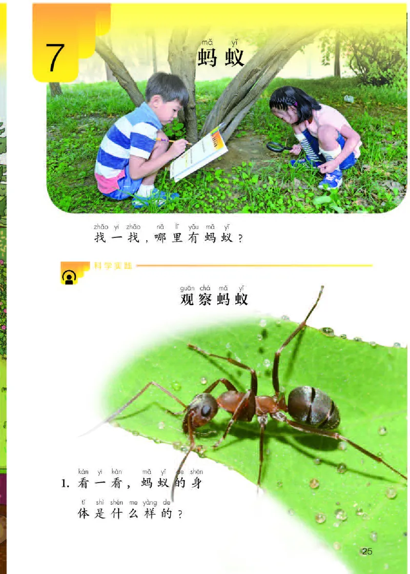 义务教育教科书&middot;科学二年级下册（人教鄂教版）_二年级上下册资料_小学二年级学习资料-25年更新版_2-10、小学二年级科学下册