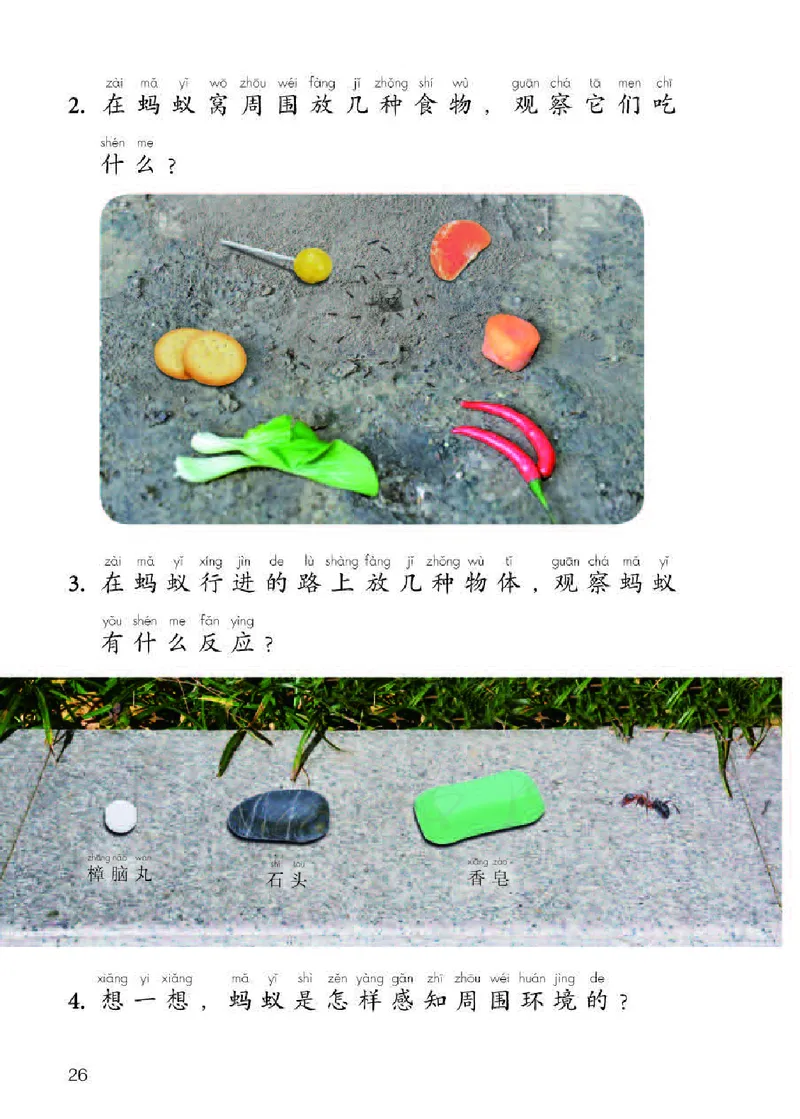 义务教育教科书&middot;科学二年级下册（人教鄂教版）_二年级上下册资料_小学二年级学习资料-25年更新版_2-10、小学二年级科学下册