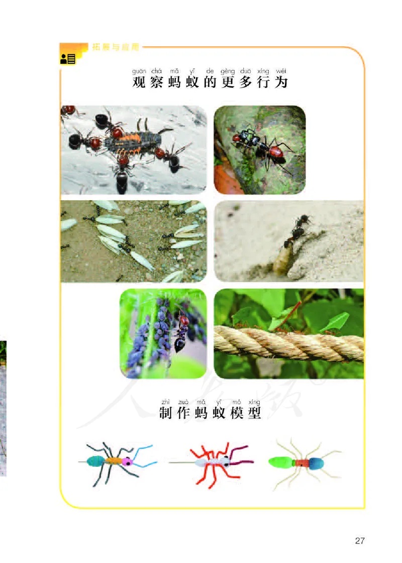 义务教育教科书&middot;科学二年级下册（人教鄂教版）_二年级上下册资料_小学二年级学习资料-25年更新版_2-10、小学二年级科学下册