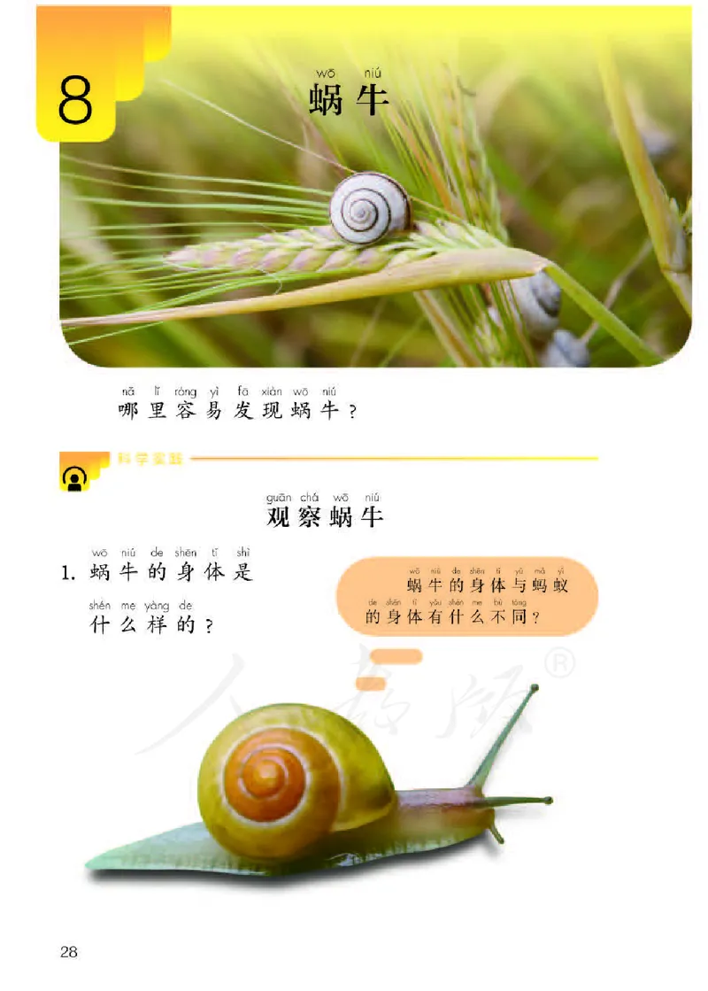 义务教育教科书&middot;科学二年级下册（人教鄂教版）_二年级上下册资料_小学二年级学习资料-25年更新版_2-10、小学二年级科学下册