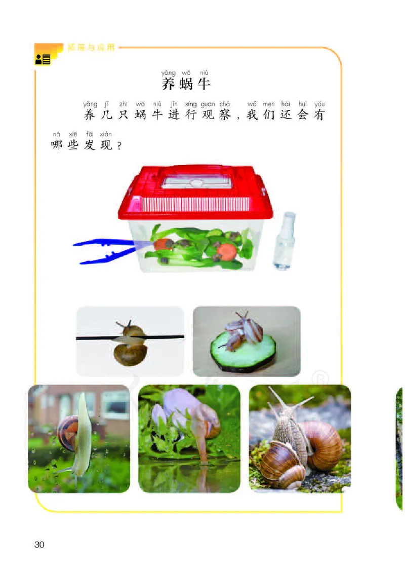 义务教育教科书&middot;科学二年级下册（人教鄂教版）_二年级上下册资料_小学二年级学习资料-25年更新版_2-10、小学二年级科学下册