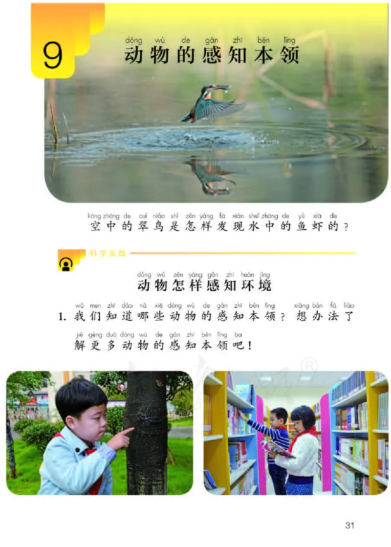 义务教育教科书&middot;科学二年级下册（人教鄂教版）_二年级上下册资料_小学二年级学习资料-25年更新版_2-10、小学二年级科学下册