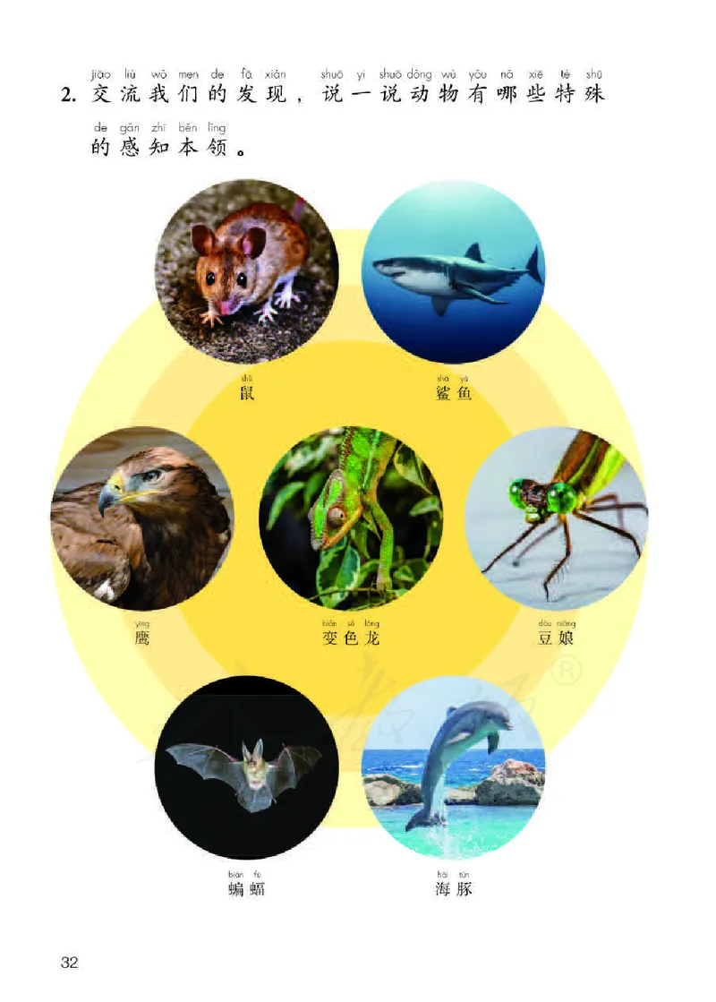 义务教育教科书&middot;科学二年级下册（人教鄂教版）_二年级上下册资料_小学二年级学习资料-25年更新版_2-10、小学二年级科学下册