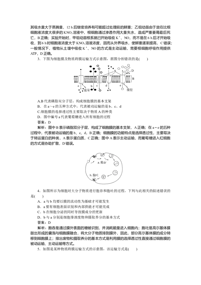 专练14_2025高中教辅（后续还会更新新习题试卷）_2025高中全科《微专题&middot;小练习》_2025高中全科《微专题小练习》_2025版&middot;微专题小练习&middot;生物学&middot;