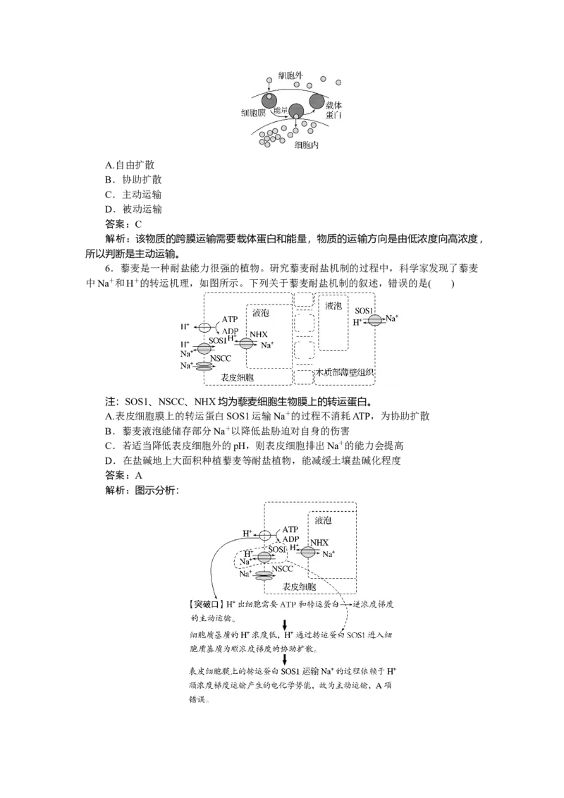专练14_2025高中教辅（后续还会更新新习题试卷）_2025高中全科《微专题&middot;小练习》_2025高中全科《微专题小练习》_2025版&middot;微专题小练习&middot;生物学&middot;