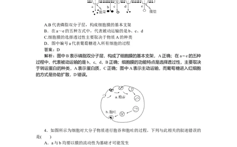 专练14_2025高中教辅（后续还会更新新习题试卷）_2025高中全科《微专题&middot;小练习》_2025高中全科《微专题小练习》_2025版&middot;微专题小练习&middot;生物学&middot;