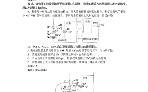 专练14_2025高中教辅（后续还会更新新习题试卷）_2025高中全科《微专题&middot;小练习》_2025高中全科《微专题小练习》_2025版&middot;微专题小练习&middot;生物学&middot;