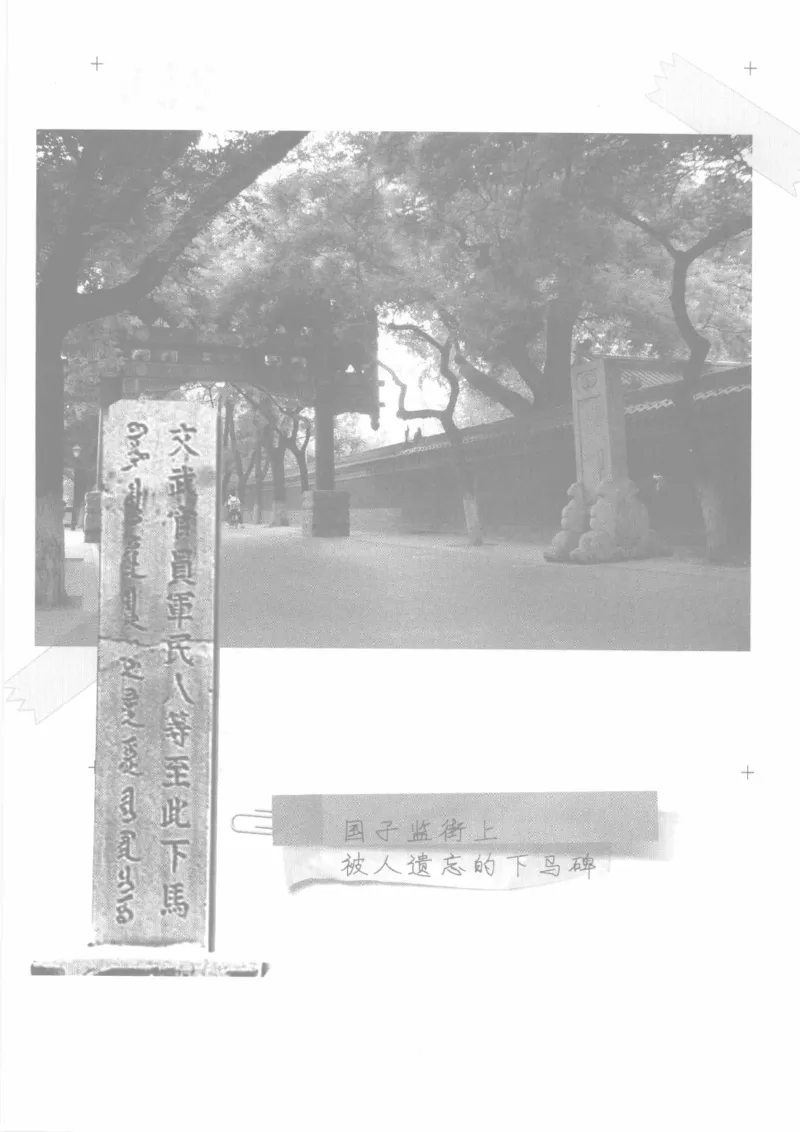 04.《中国社会的一千个细节-1》[世纪婴儿编著][河南文艺出版社][978-7-80623-997-1][2009.1][P338]_绝版书_天涯系列_t涯_《天涯神贴去水印纯干货收藏版-汇总版》天涯的干货[pdf]_天涯社区优质书籍