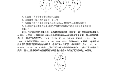 专练41_2025高中教辅（后续还会更新新习题试卷）_2025高中全科《微专题&middot;小练习》_2025高中全科《微专题小练习》_2025版&middot;微专题小练习&middot;生物学&middot;不定项