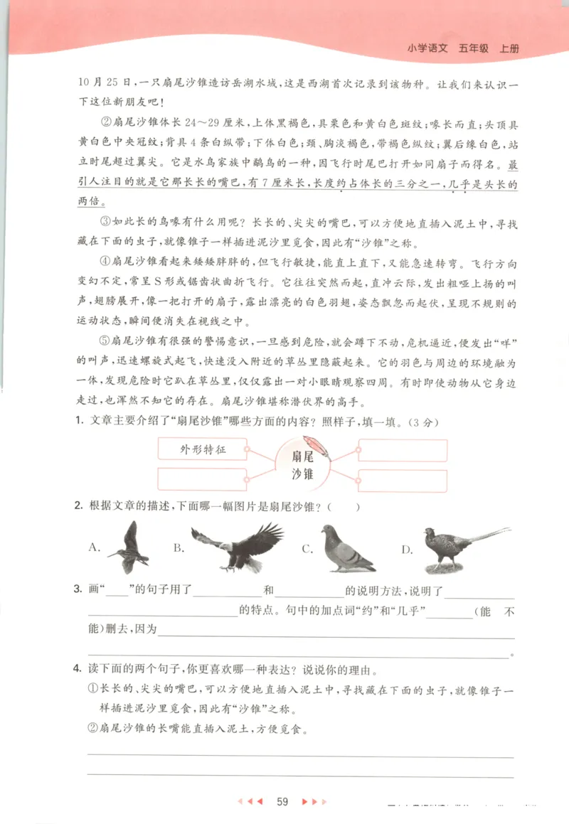 五年级语文上册人教版25秋《53天天练》_25秋小学语数英习题试卷_语文_1-6年级语文上册人教版25秋《53天天练》_五年级语文上册人教版25秋《53天天练》