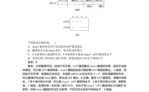 专练103_2025高中教辅（后续还会更新新习题试卷）_2025高中全科《微专题&middot;小练习》_2025高中全科《微专题小练习》_2025版&middot;微专题小练习&middot;生物学&middot;不定项