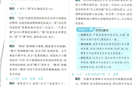 五年级语文上册人教版25秋《53天天练》答案_25秋小学语数英习题试卷_语文_1-6年级语文上册人教版25秋《53天天练》_五年级语文上册人教版25秋《53天天练》