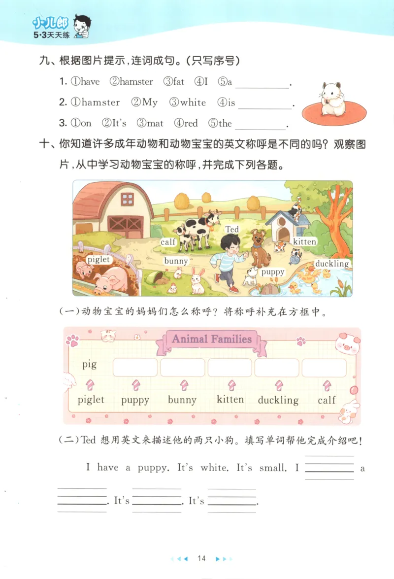 二年级英语上册译林版25秋《53天天练》_25秋小学语数英习题试卷_英语_译林版_1-6年级英语上册译林版25秋《53天天练》_二年级英语上册译林版25秋《53天天练》