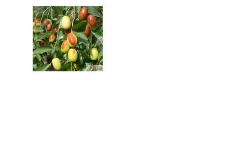 带拼音的阅读训练(全)_一年级上下册资料_一年级上语数英上下册学习资料_3-6-1、小学一年级语文上册_统编、部编、人教（语文全国统一只有一个版）_6、专项练习_拼音生字