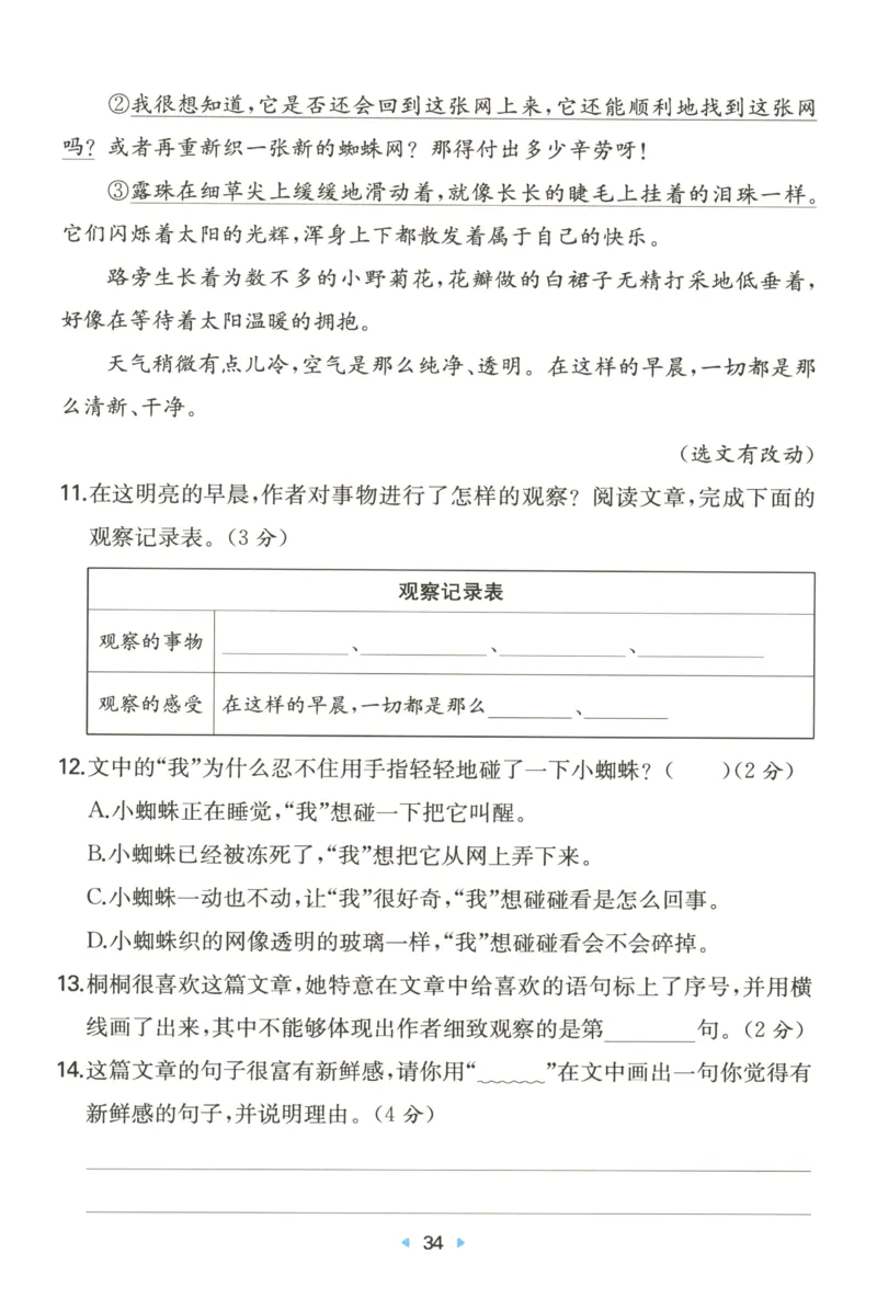 一本小学语文同步训练3年级上册--自主测评卷_25秋小学语数英习题试卷_语文_一本自主测评卷语文25年上册