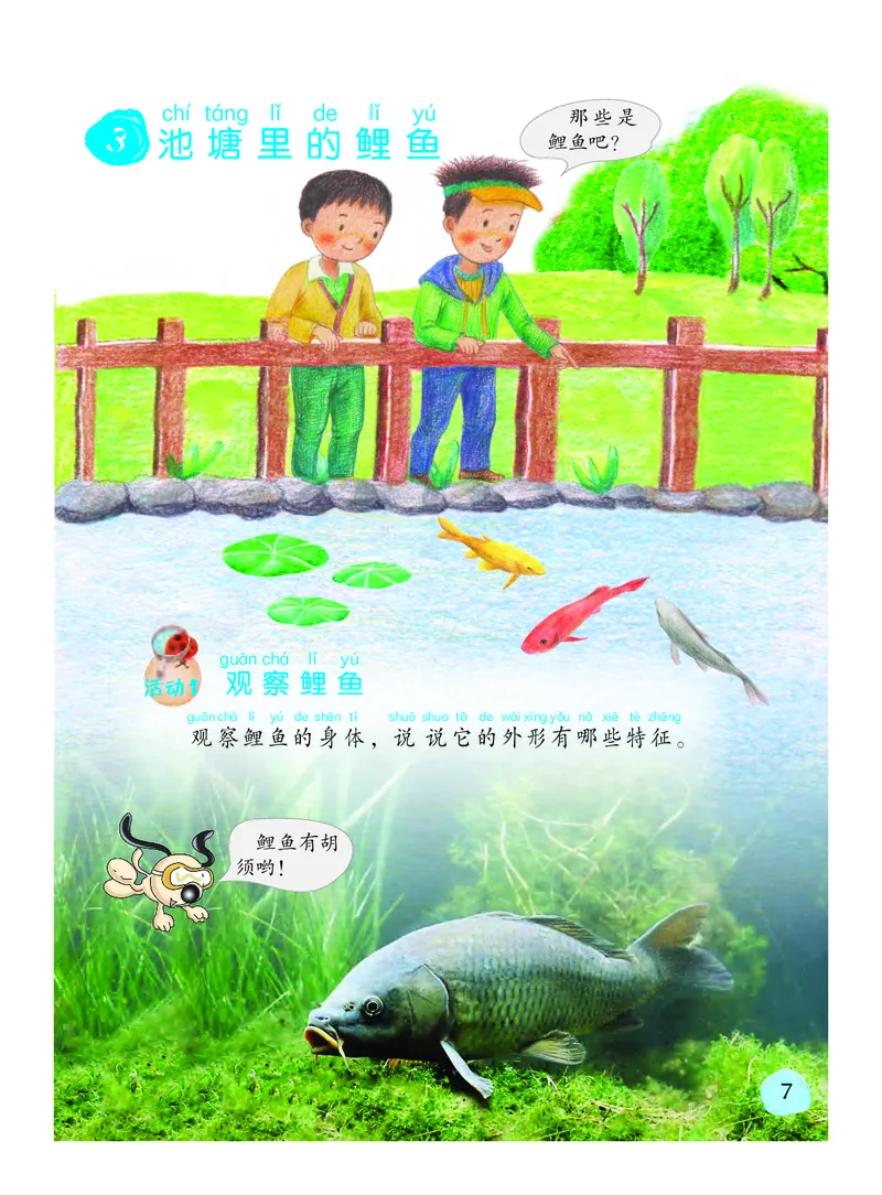 义务教育教科书&middot;科学二年级下册（粤教粤科版）_二年级上下册资料_小学二年级学习资料-25年更新版_2-10、小学二年级科学下册