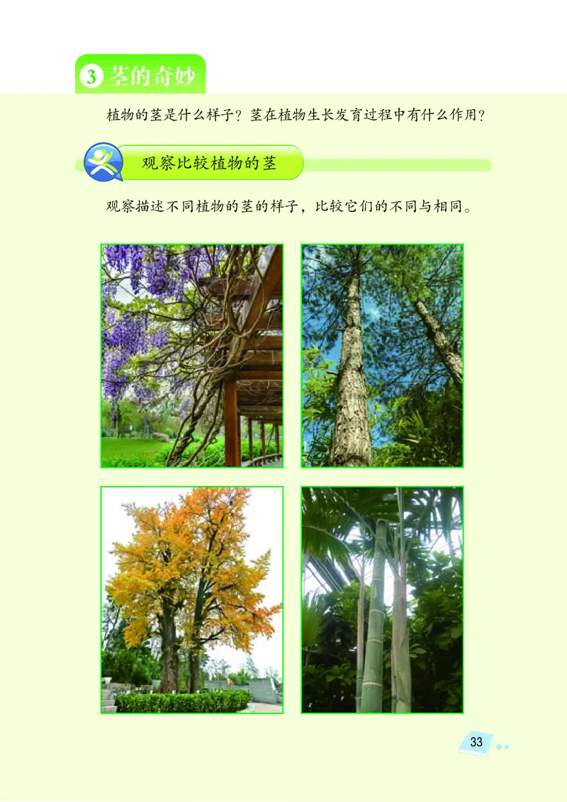 义务教育教科书&middot;科学三年级下册（湘科版）_三年级上下册资料_小学三年级学习资料-25年更新版_3-10、小学三年级科学下册_湘教版