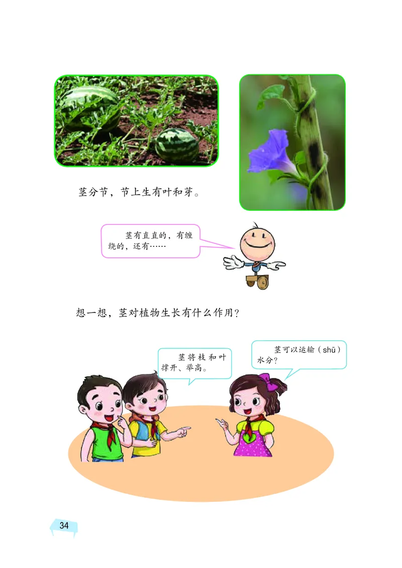 义务教育教科书&middot;科学三年级下册（湘科版）_三年级上下册资料_小学三年级学习资料-25年更新版_3-10、小学三年级科学下册_湘教版