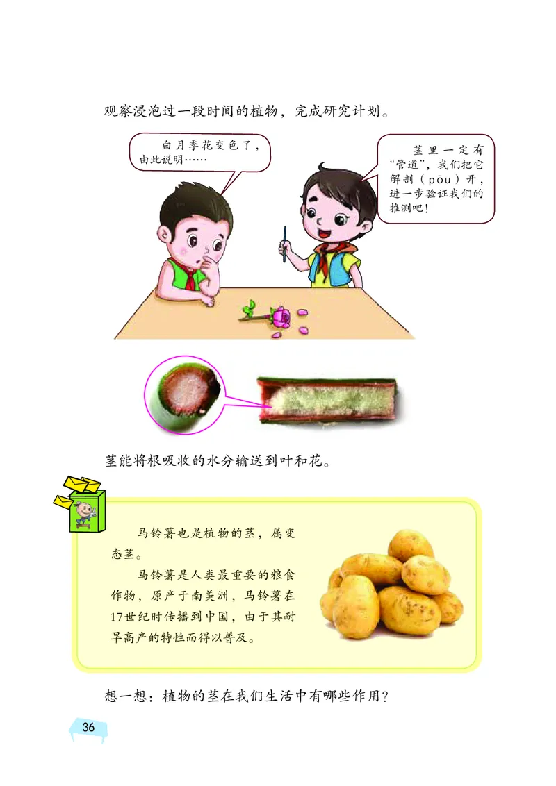 义务教育教科书&middot;科学三年级下册（湘科版）_三年级上下册资料_小学三年级学习资料-25年更新版_3-10、小学三年级科学下册_湘教版