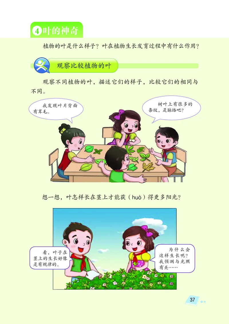 义务教育教科书&middot;科学三年级下册（湘科版）_三年级上下册资料_小学三年级学习资料-25年更新版_3-10、小学三年级科学下册_湘教版