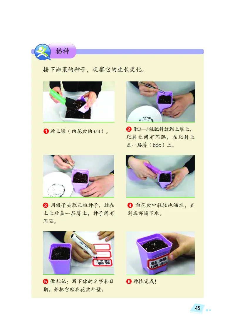 义务教育教科书&middot;科学三年级下册（湘科版）_三年级上下册资料_小学三年级学习资料-25年更新版_3-10、小学三年级科学下册_湘教版