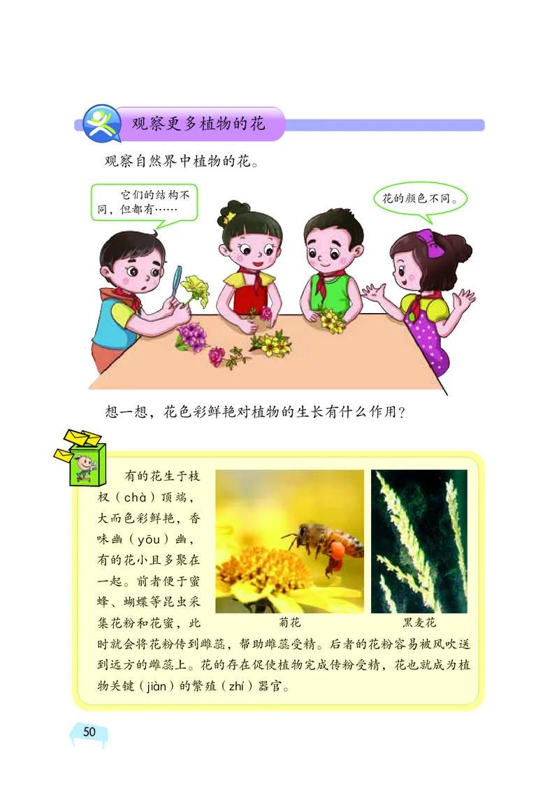 义务教育教科书&middot;科学三年级下册（湘科版）_三年级上下册资料_小学三年级学习资料-25年更新版_3-10、小学三年级科学下册_湘教版